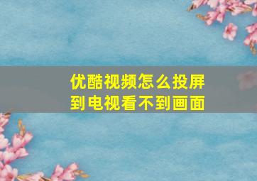 优酷视频怎么投屏到电视看不到画面