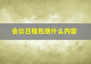 会议日程包括什么内容