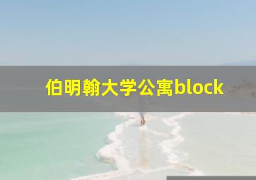 伯明翰大学公寓block