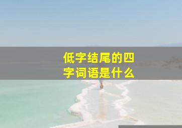 低字结尾的四字词语是什么