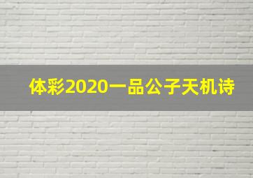 体彩2020一品公子天机诗