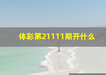 体彩第21111期开什么