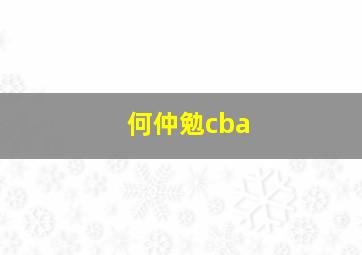 何仲勉cba