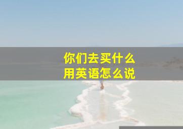 你们去买什么用英语怎么说