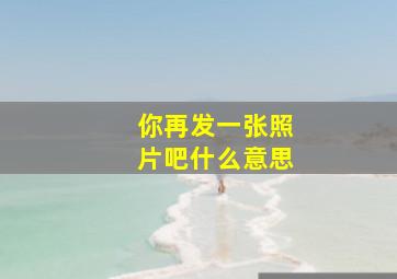 你再发一张照片吧什么意思