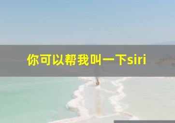 你可以帮我叫一下siri