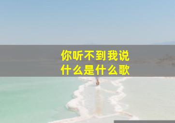 你听不到我说什么是什么歌