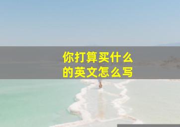 你打算买什么的英文怎么写