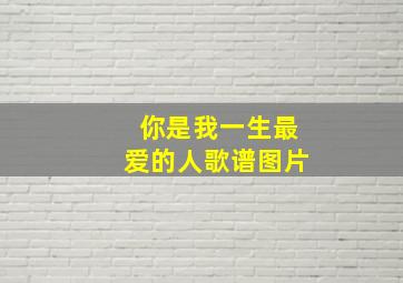 你是我一生最爱的人歌谱图片