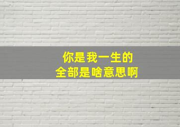 你是我一生的全部是啥意思啊