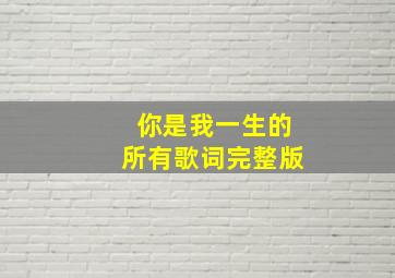 你是我一生的所有歌词完整版