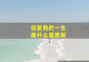 你是我的一生是什么意思啊