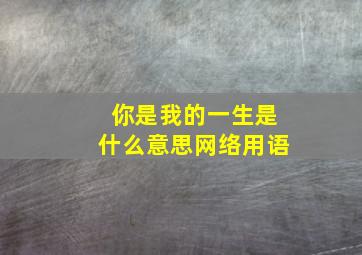 你是我的一生是什么意思网络用语