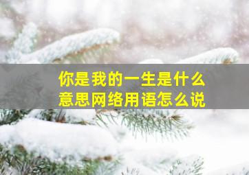 你是我的一生是什么意思网络用语怎么说