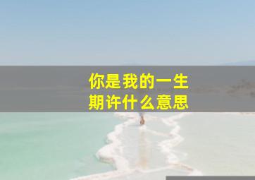 你是我的一生期许什么意思