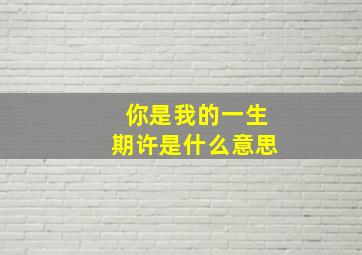 你是我的一生期许是什么意思