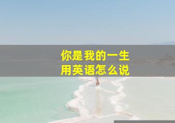 你是我的一生用英语怎么说