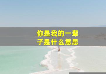 你是我的一辈子是什么意思