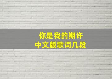 你是我的期许中文版歌词几段