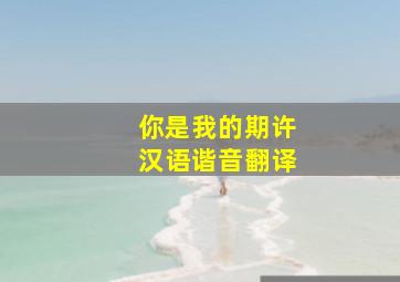 你是我的期许汉语谐音翻译