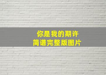 你是我的期许简谱完整版图片