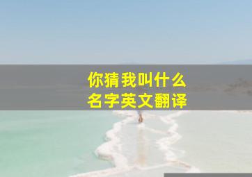 你猜我叫什么名字英文翻译