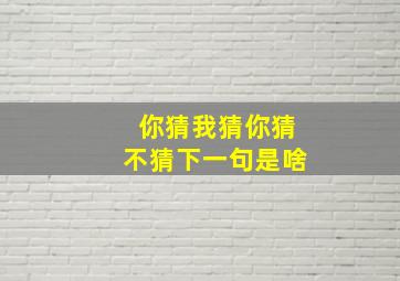 你猜我猜你猜不猜下一句是啥