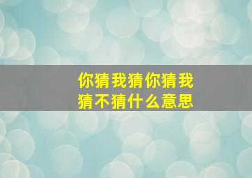 你猜我猜你猜我猜不猜什么意思