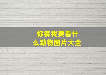 你猜我要看什么动物图片大全