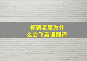 你猜老鹰为什么会飞英语翻译