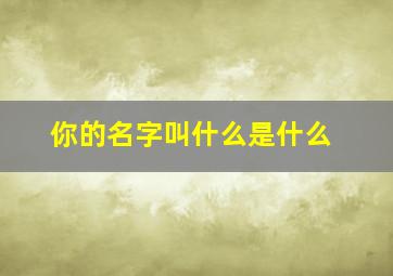 你的名字叫什么是什么