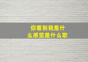 你看到我是什么感觉是什么歌