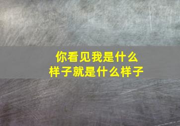 你看见我是什么样子就是什么样子