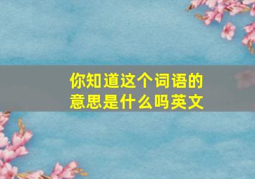 你知道这个词语的意思是什么吗英文