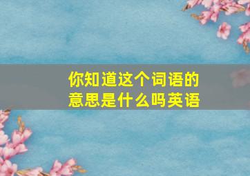 你知道这个词语的意思是什么吗英语