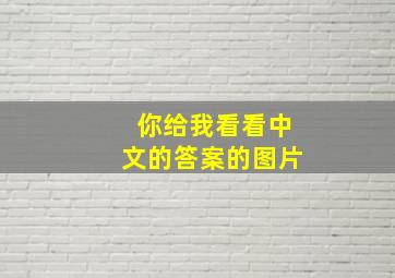 你给我看看中文的答案的图片