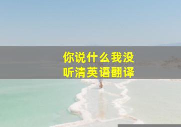 你说什么我没听清英语翻译