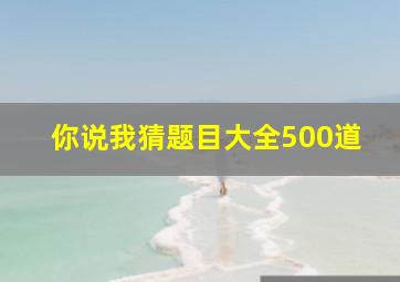 你说我猜题目大全500道