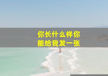 你长什么样你能给我发一张