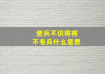 使兵不识将将不专兵什么意思