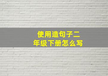 使用造句子二年级下册怎么写