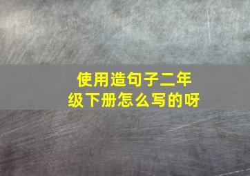 使用造句子二年级下册怎么写的呀