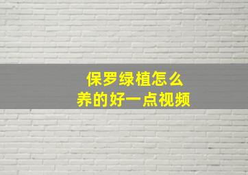 保罗绿植怎么养的好一点视频