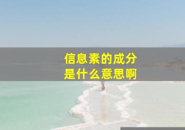 信息素的成分是什么意思啊