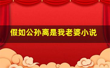 假如公孙离是我老婆小说