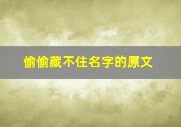 偷偷藏不住名字的原文