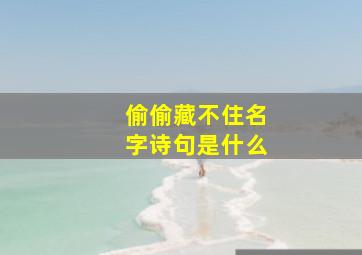 偷偷藏不住名字诗句是什么