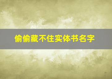 偷偷藏不住实体书名字