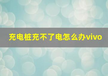 充电桩充不了电怎么办vivo