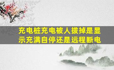 充电桩充电被人拔掉是显示充满自停还是远程断电